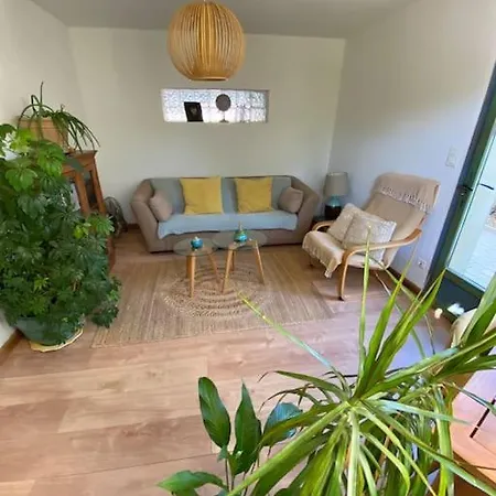 Pavillon Dans Un Ecrin De Verdure Avec Piscine